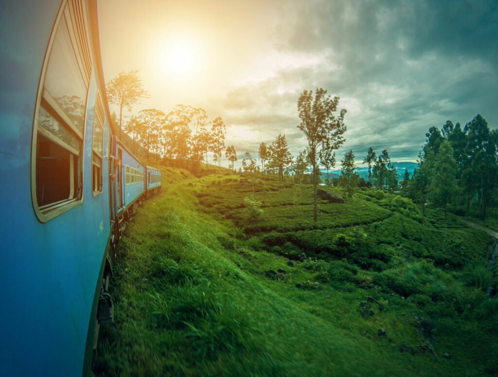 okp-sri-lanka-exp-(2)