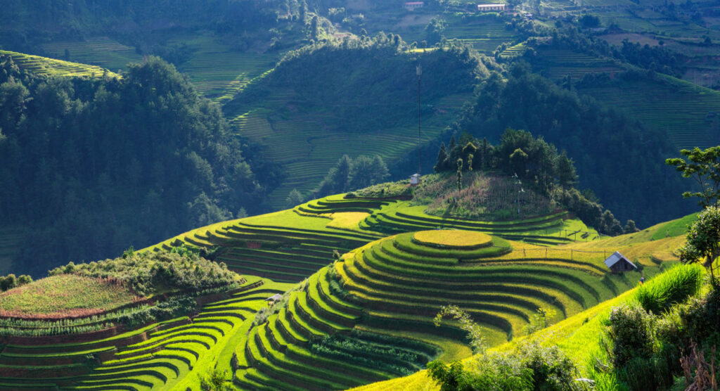 okp-vietnam-exp-(5)
