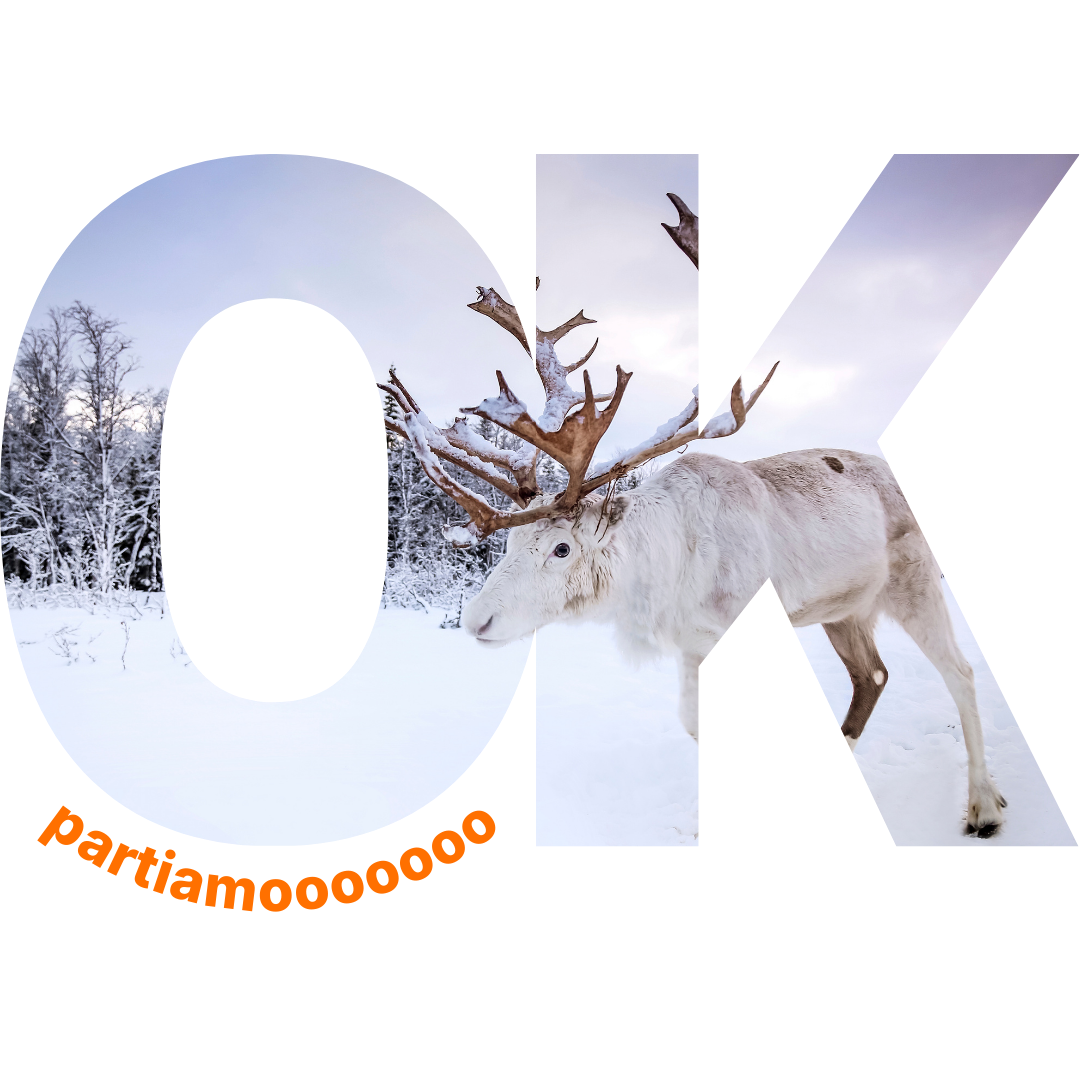 okp-lapponia (17)