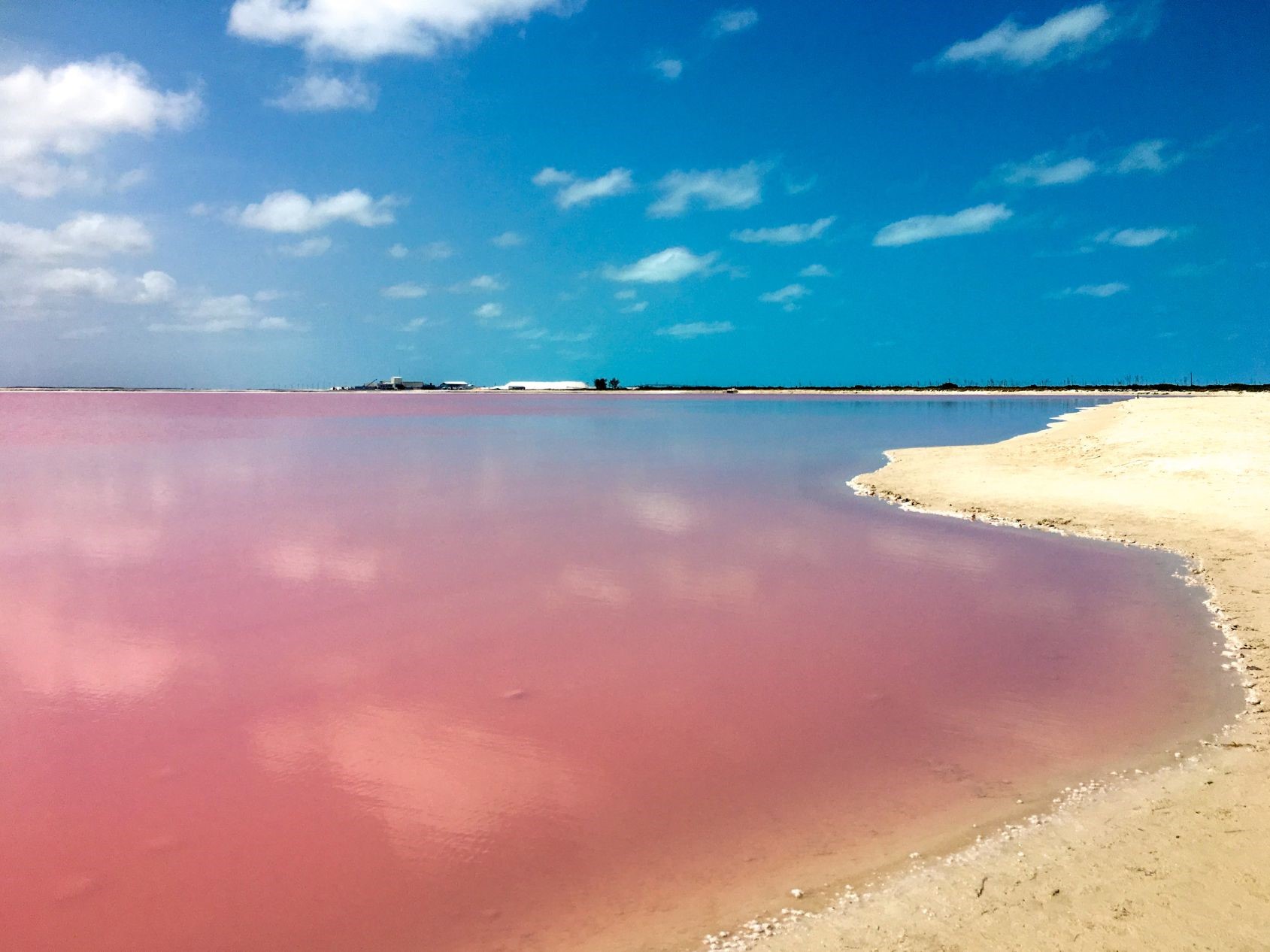 Foto OKP (1900 x 1300 px) - okp-messico-Las Coloradas laguna rosa (2)
